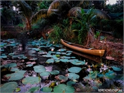 _DSF9771 (Copy)